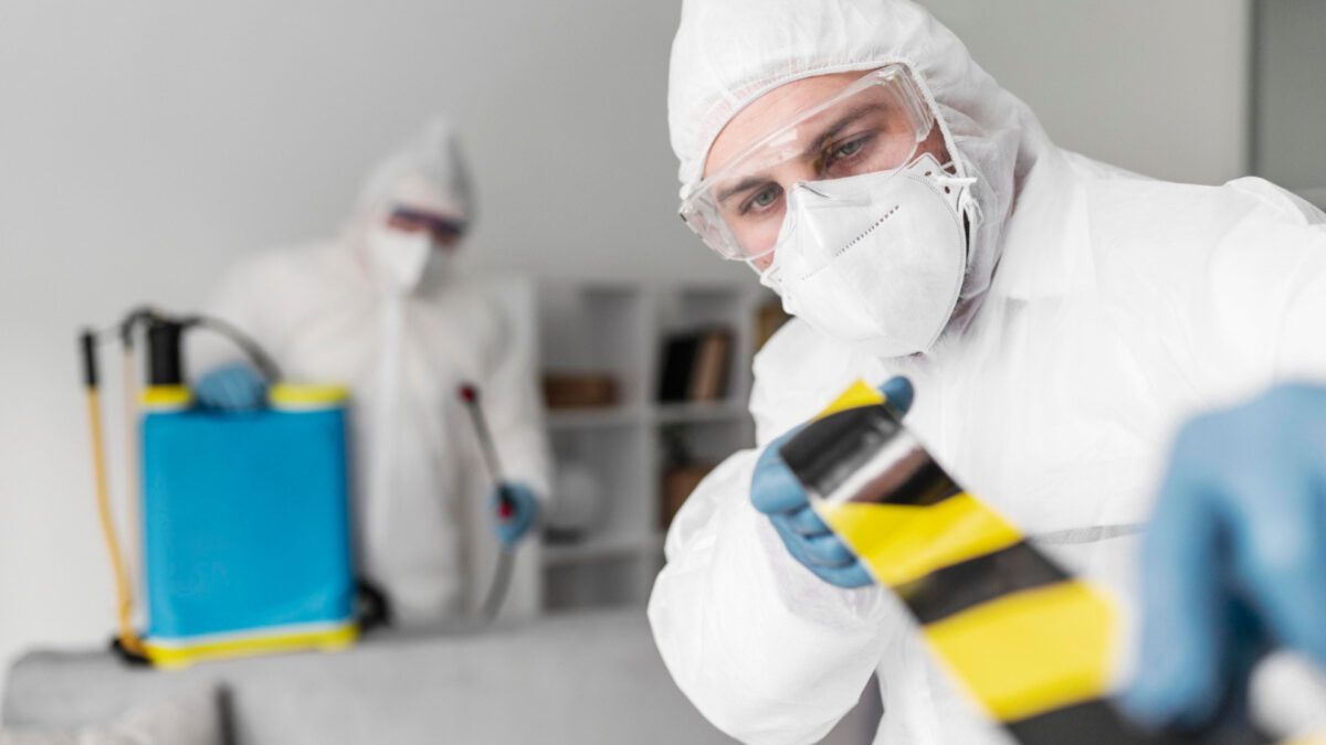 Des solutions sur mesure contre les nuisibles à Valence